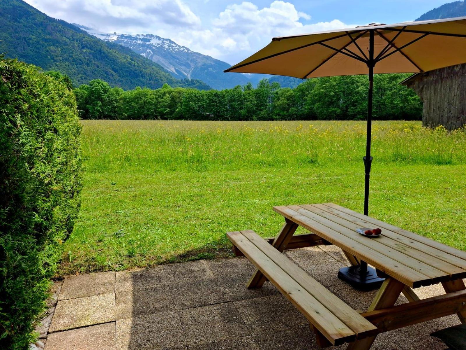 Appartement Renove T2, Vue Montagne Samoëns Εξωτερικό φωτογραφία